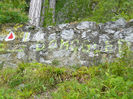 DSCN6307