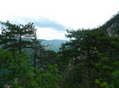 DSCN6308