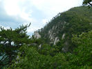 DSCN6315