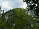 DSCN6325