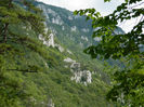DSCN6329