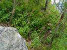 DSCN6335