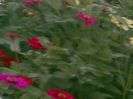 Copie a 27072013(011)