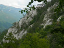 DSCN6338