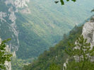 DSCN6345