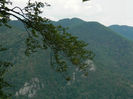 DSCN6346
