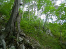 DSCN6351