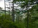 DSCN6356