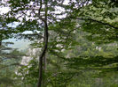 DSCN6357