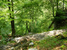 DSCN6364
