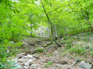 DSCN6371
