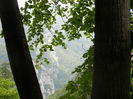 DSCN6372