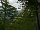 DSCN6383