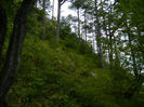 DSCN6385