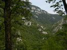 DSCN6395