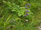 DSCN6396