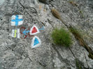 DSCN6422