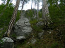 DSCN6472