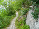 DSCN6507