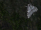 DSCN6561