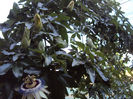 DSC08557