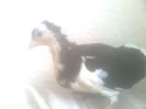 Image0585