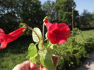 DSCF0763