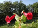 DSCF0765