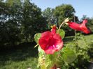 DSCF0768