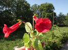 DSCF0770