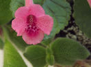 DSCF0933