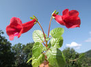 DSCF0777