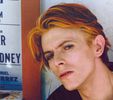 David Bowie