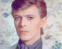 David Bowie