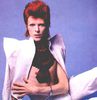 David Bowie
