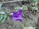 Picture 07 2013 344