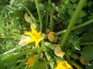 Picture 07 2013 682