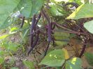 Picture 07 2013 689