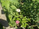 Picture 07 2013 727