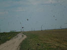 SAM_1077