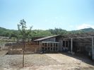 DSC00747