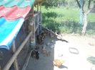 DSC00749