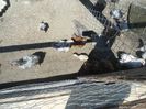 DSC00752