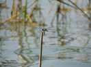 DSCN3847