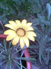 Imag004