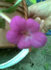 Imag009