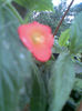 Imag010