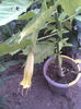 Imag015