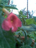 Imag016
