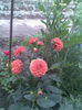 Imag017